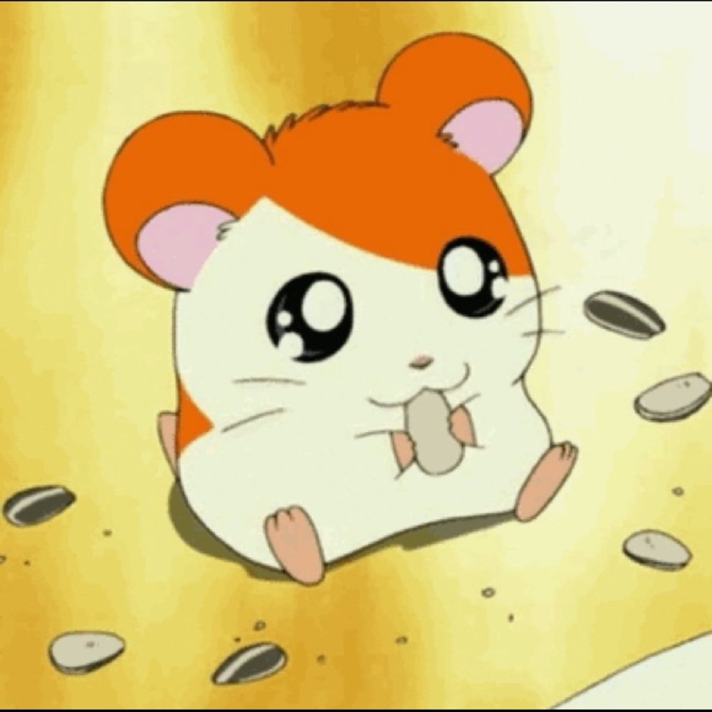 Meet your Posher, Vanisa